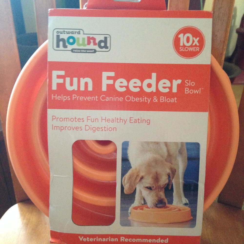 Outward Bound Fun Feeder Dog Bowl